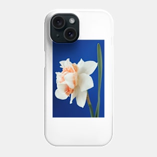 Narcissus  &#39;Replete&#39;    Division 4 Double Daffodil Phone Case