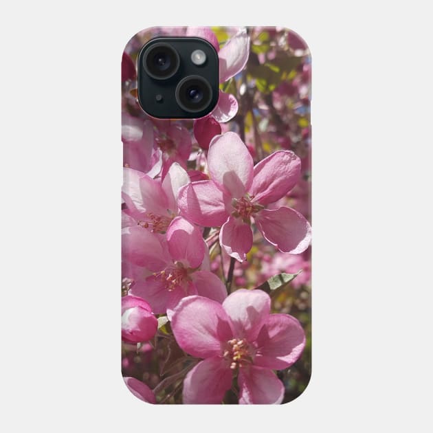 Pink Apple Blossoms in Spring Phone Case by EmilyBickell