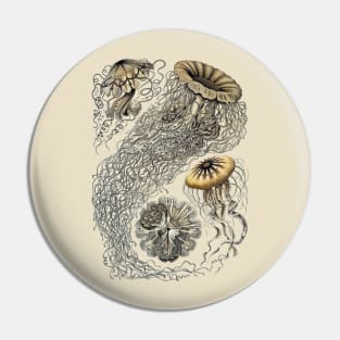 Ernst Haeckel  Jellyfish Sepia Pin