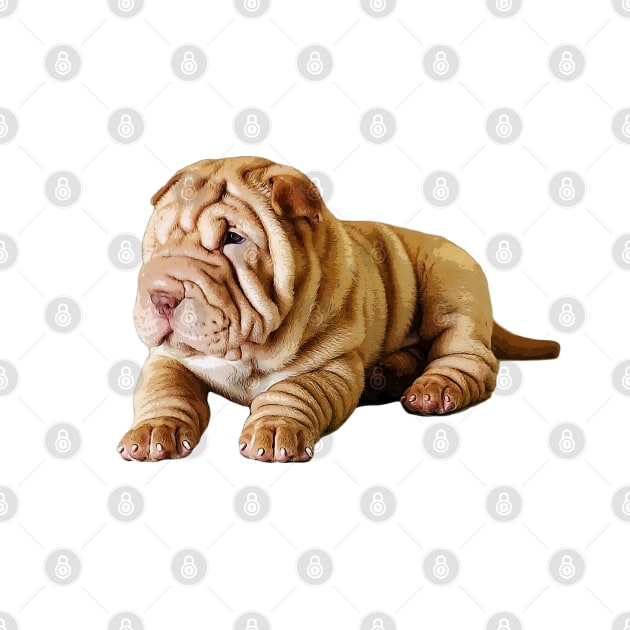 Shar Pei Cute Puppy Dog by ElegantCat