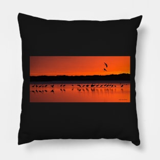 Sunset panorama Pillow