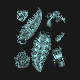 Nudibranch Sea Slug T-Shirt