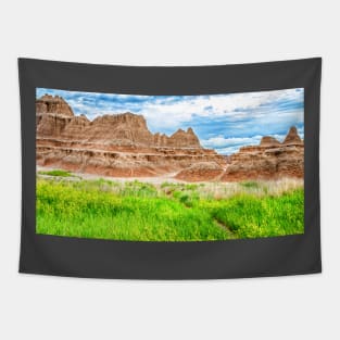 Badlands National Park Tapestry