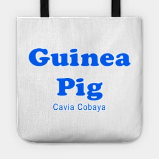 Guinea Pig clinical trial medical research volunteer Tote