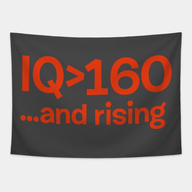 HIGH IQ FUNNY GIFT MATH Tapestry by peterdesigns