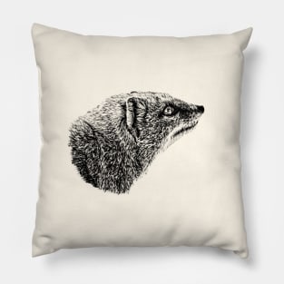 Yellow mongoose Pillow