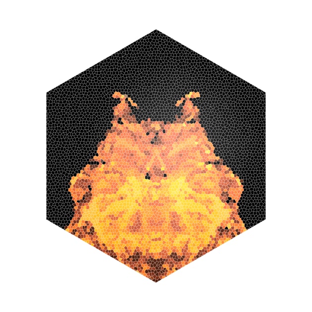 Fire hexagon abstract - Fire sign - The Five Elements Abstract  Symbol by thewishdesigns