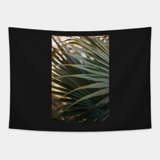 Palm Delight Tapestry