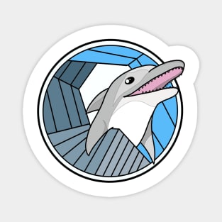 Dolphin Magnet