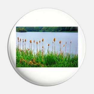 Bullrushes II Pin