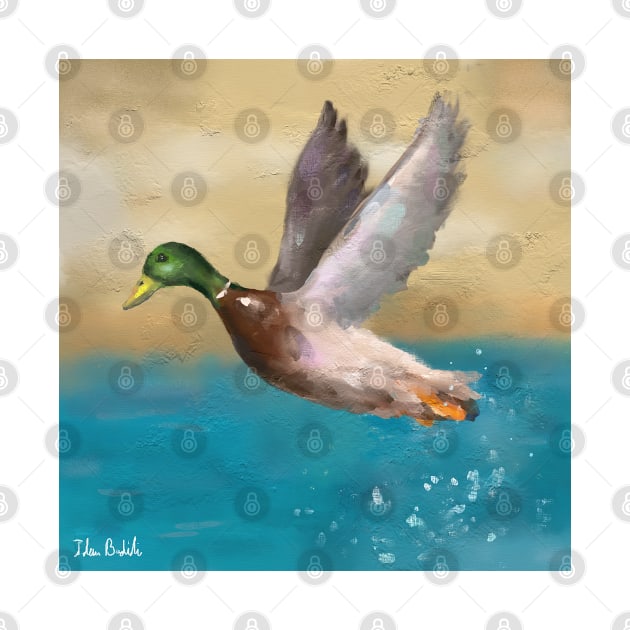 A Painting of a Duck Flying Above the Water by ibadishi