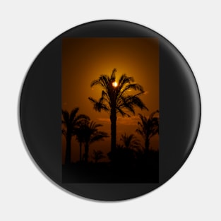 Palm tree in the sunset Pin