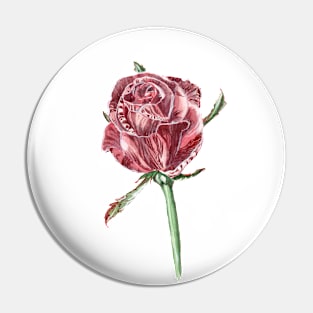 Burgundy rose Pin