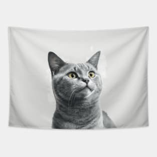 Illustration of grey haired concentrated cat looking to the side Tapestry