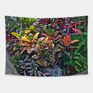 Croton in Greenhouse Tapestry
