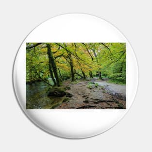 Autumn Golitha falls walk Pin