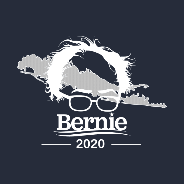Bernie 2020 Long Island by Frank Imburgio