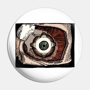 Eye Pry Pin