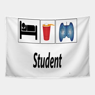 Student Tapestry