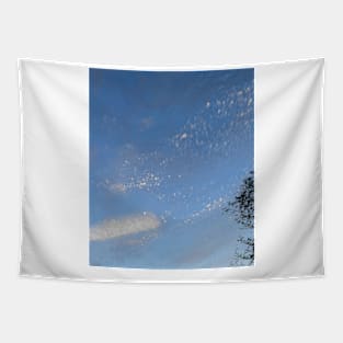 Evening Sky Tapestry