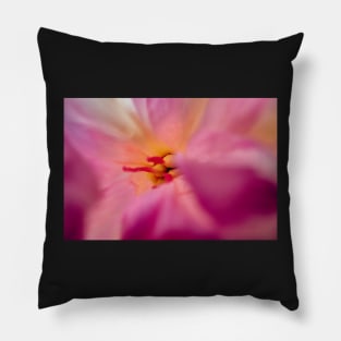 Peony Pillow