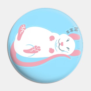 Sleeping Rat Pin