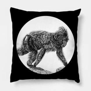 Sulawesi crested macaque baby Pillow