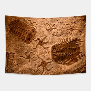 Dinosaur Petrification / Swiss Artwork Photography Tapestry