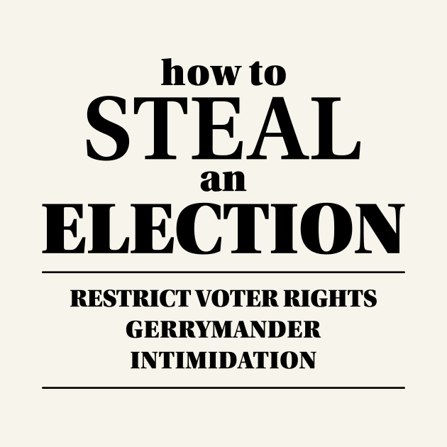 How to steal an election by bluehair