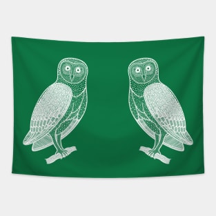 Barn Owls in Love - hand drawn detailed bird lovers design Tapestry