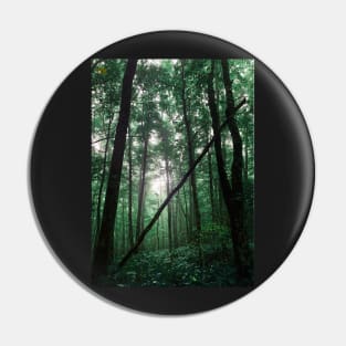 Dark Forest Pin