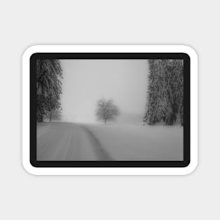 Snow scene Magnet