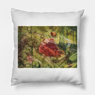 The Frog behind the Poppy Pillow