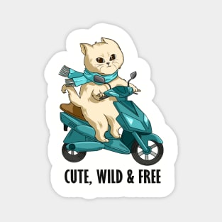 Funny cat on a motorcycle Magnet