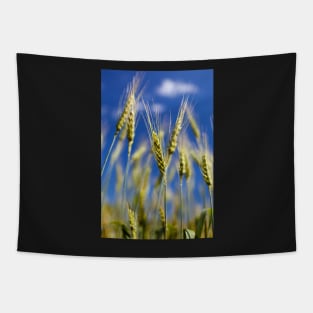 Wheat field closeup Tapestry