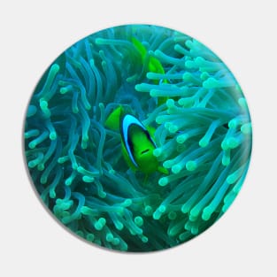 Nemo Fish and Sea Anemone Pin