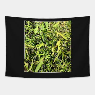 Baby Bamboo Tapestry