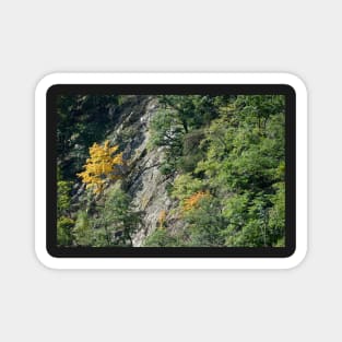 Bodetal, rock, cliff, cliff, Thale, Harz, Germany, autumn Magnet