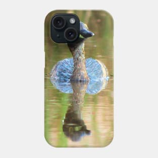 Australasian grebe, Australia Phone Case