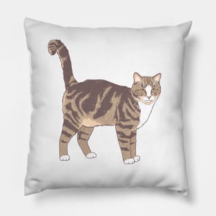 Brown and White Tabby Cat Pillow