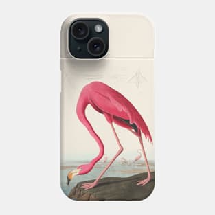 American Flamingo (1838) by John James Audubon Phone Case