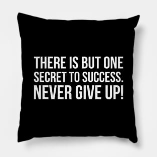 THERE IS BUT ONE SECRET TO SUCCESS. NEVER GIVE UP! funny saying quote Pillow