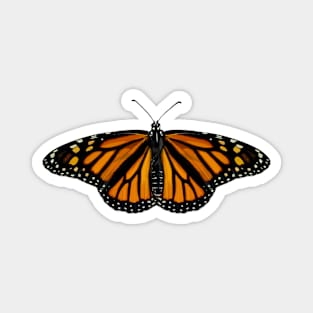 Female Monarch Butterfly Magnet