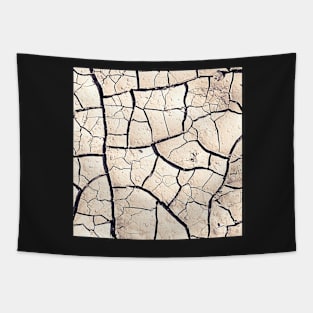 Cracked Pattern Tapestry