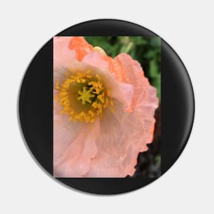 The Unfurling Present of the Peaceful Pink Poppy Pin