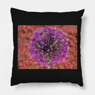 Nature's Firework Pillow