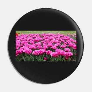 Tulips Pin