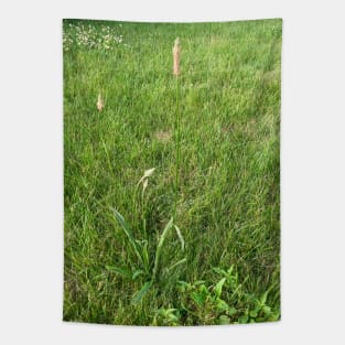 Grassland Plants Tapestry