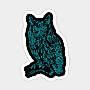 blue owl Magnet