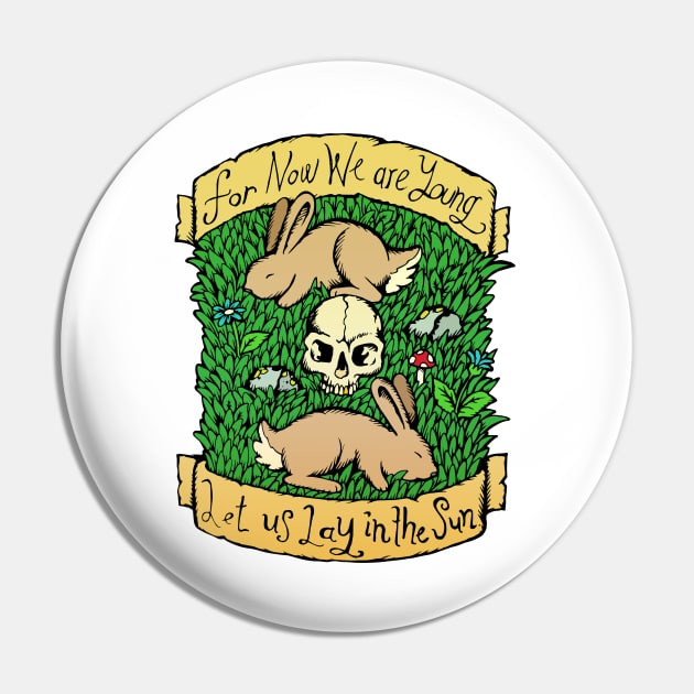 Neutral Milk Hotel - In the Aeroplane Over the Sea - Illstrated Lyrics - Colour Version Pin by bangart